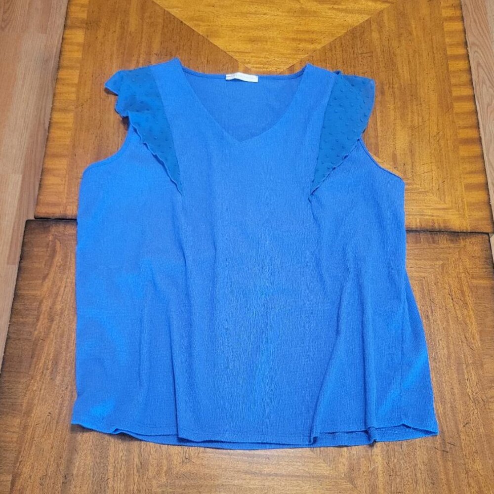 Armand Thiery Blue top